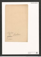 Nitzschia scalaris (Ehr.?) W. Sm. (de-Toni-Nr.: Genus 47, Species 2070) Zeichnungen Sammlung Grunow (NHMW-BOT-W0371930)